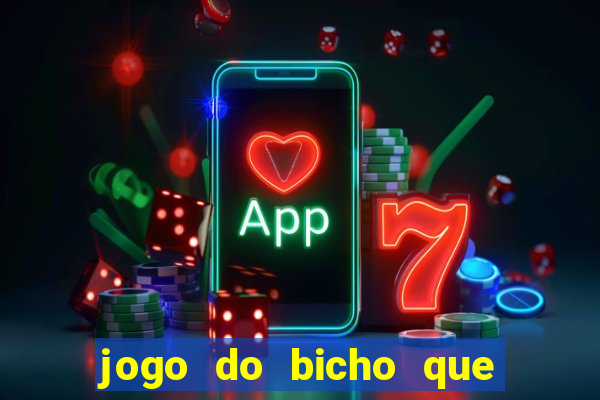 jogo do bicho que paga no pix